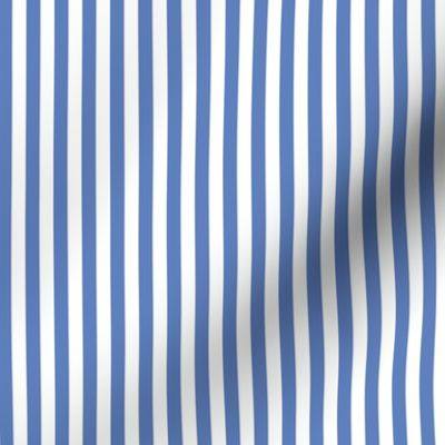 (Small) Awning Beach Stripes - Glaucus Medium Blue and White