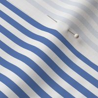 (Small) Awning Beach Stripes - Glaucus Medium Blue and White