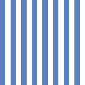 (Medium) Awning Beach Stripes - Glaucus Medium Blue and White