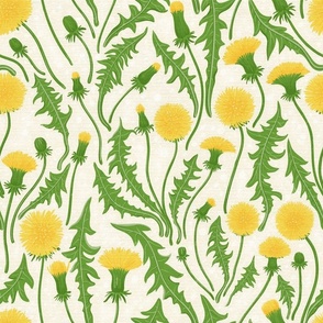 Dandelions, green, yellow and white