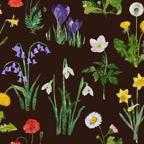 spring wildflowers - dark