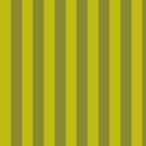 Double Olive Stripes