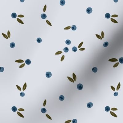 Blueberries - Blue background - Small Scale