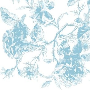 Emma Wild Roses aqua