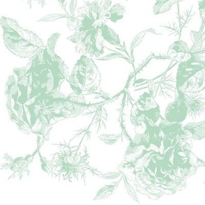 Emma Wild Roses celadon