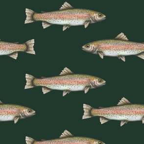 Oversize Rainbow Trout Palm Green