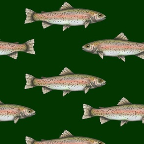 Oversize Rainbow Trout Phthalo Green