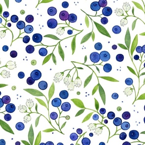 L| Watercolor Blueberry Fruit Garden Toss - ©Lucinda Wei