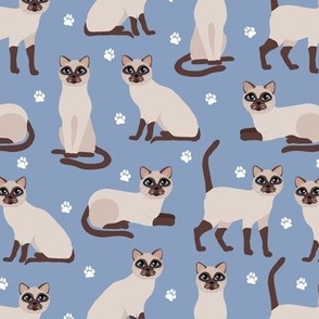 Applehead Siamese Cats with Paw Prints Blue