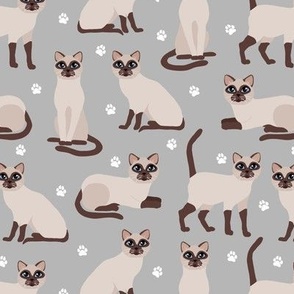 Applehead Siamese Cats with Paw Prints Gray
