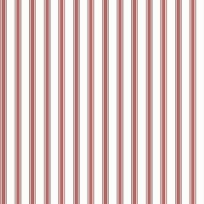 Ticking Stripe: Dusty Red & White Pillow Ticking