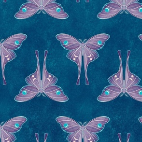 The blue shining - purple moths - large
