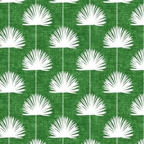 Fan Palm - Coastal Leaves - Green - LAD24