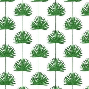 Fan Palm - Coastal Leaves - green/white - LAD24
