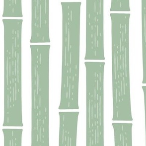 Bamboo - sage - LAD24