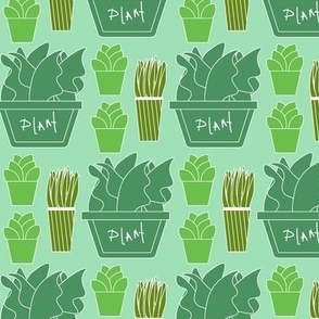Green potted plant design  on green background