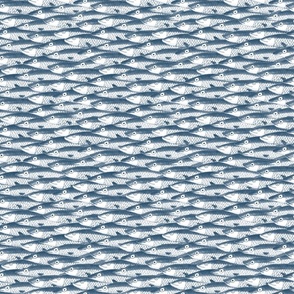 Mono Blue Sardines (S)
