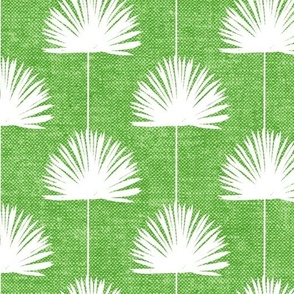 (jumbo scale) Fan Palm - Coastal Leaves - bright green - LAD24