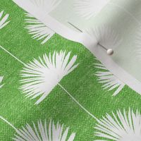 Fan Palm - Coastal Leaves - bright green - LAD24