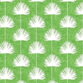 Fan Palm - Coastal Leaves - bright green - LAD24