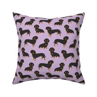 dachshund smooth coat  on lavender B 61