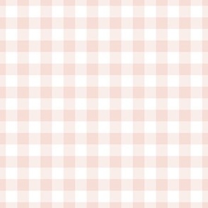 Light Pink Peach Gingham Plaid / Medium