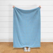 Small scale / 1 inch blue windowpane plaid on white / Cool light sapphire and royal blue gray gingham stripes / classic vichy caro 60s picnic checks square grid lines / 70s minimalism modern winter mens blender