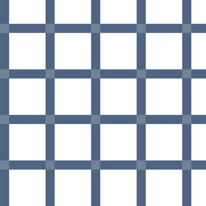 BLUE GINGHAM 