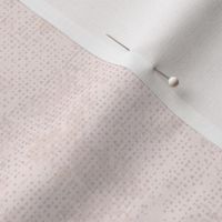 Plain Soft Coral Pink Texture | Solid Color Texture