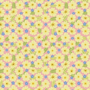 Primrose and Forget-me-not (pink)