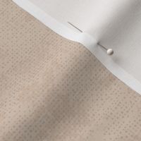 Plain Sandy Beige Texture| Solid Color Texture