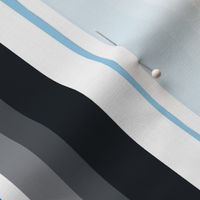 Medium Gradient Stripe Vertical in Carolina Blue 0085ca, silver gray bfcobf, black 101820 school spirit team colors