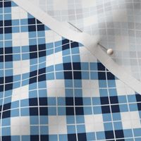 Tarheel Argyle extra small