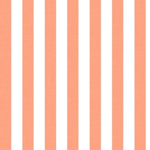 Summer Stripes - Coral and White circus stripe