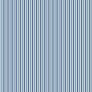 Blue stripes 0,2 inches two tones on off white backdrop 