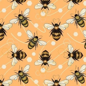 Buzzy bee on orange