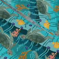 turtles swimming 
