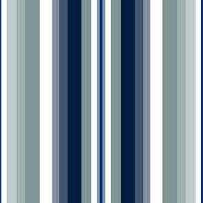 Small Gradient Stripe Vertical in Royal Blue 003594, darkest blue 041e42, silver green 7f9695 Team colors School Spirit