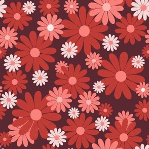 Daisies (red, peach & purple)