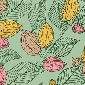 Cacao plant linework with bright coloured fruit