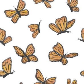 Orange Monarch Butterflies on White