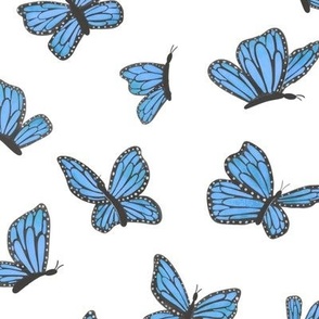 Morpho Butterfly on White