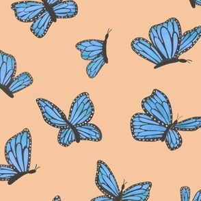 Morpho Butterfly on Orange