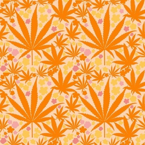 10k orange pink cannabis