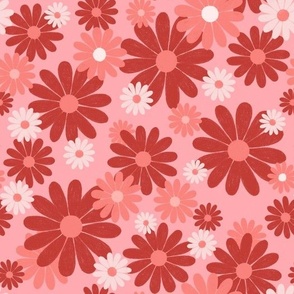 Daisies (red & light pink)
