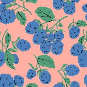 Wild Blackberries on Branch, Modern Farmhouse, Garden Berries on Pink Background