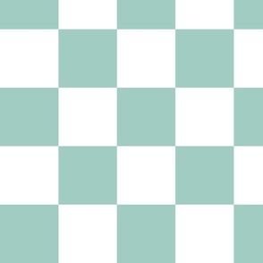 4” Jumbo Classic Checkers, Aqua and White