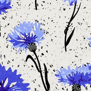 (XL) cornflowers black and white with blue