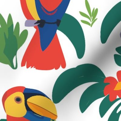 Bright Toucans on White