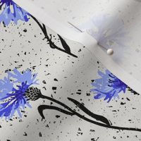 (M) cornflowers black and white with blue